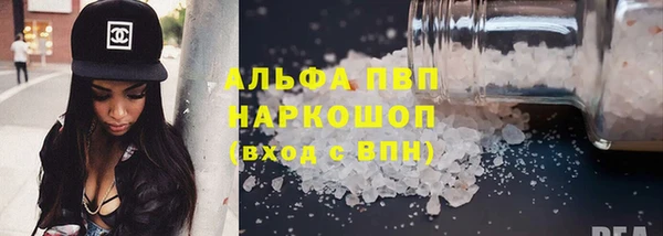 СК Новодвинск