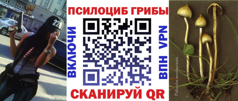 кракен маркетплейс  Кадников  Псилоцибиновые грибы прущие грибы  закладка 